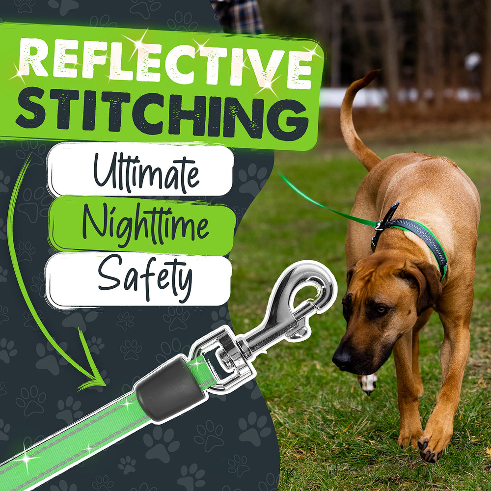 Mighty Paw retractable leash with integrated poop bag holder for easy cleanup.