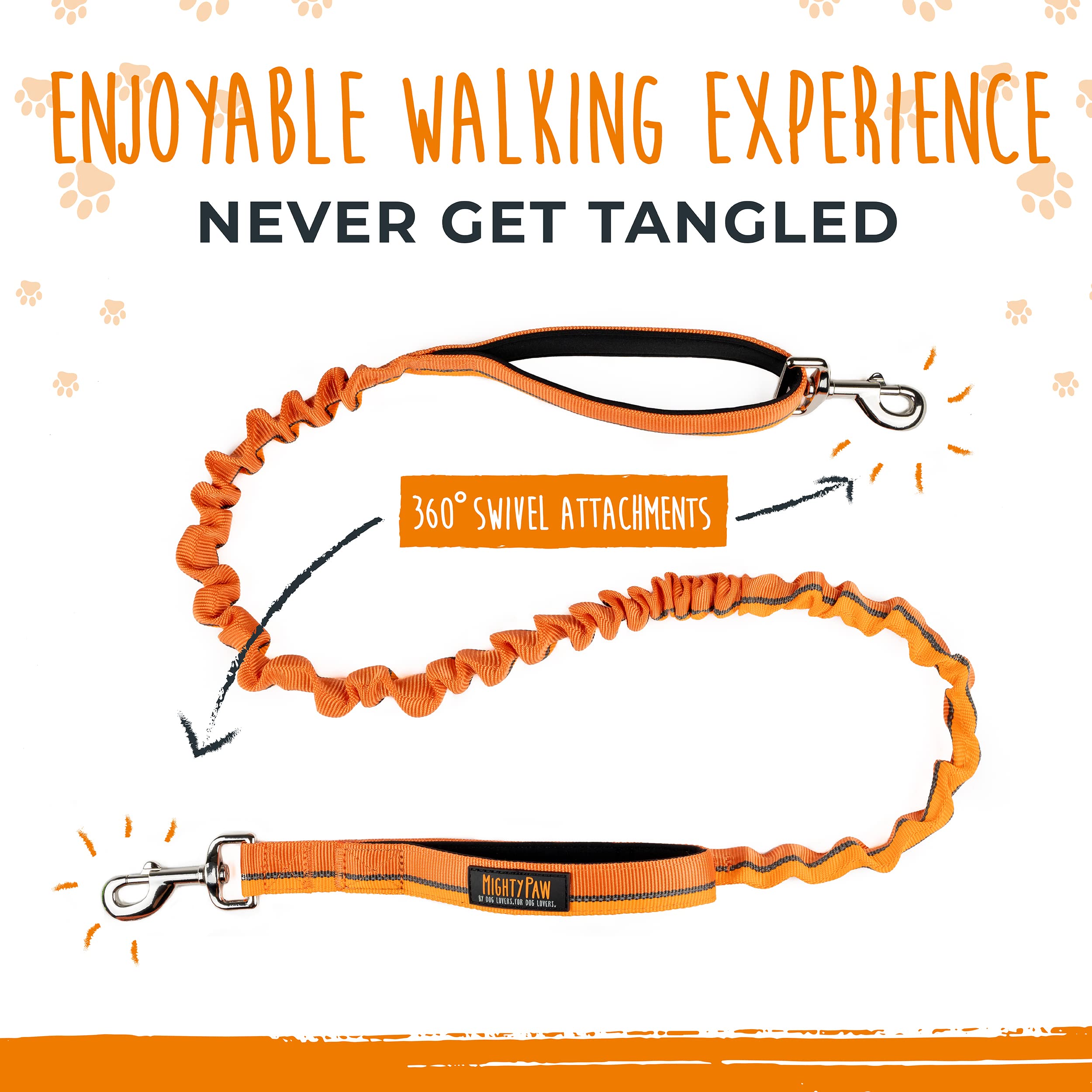 Secure tethering enables hands-free training and exploration with dogs.
