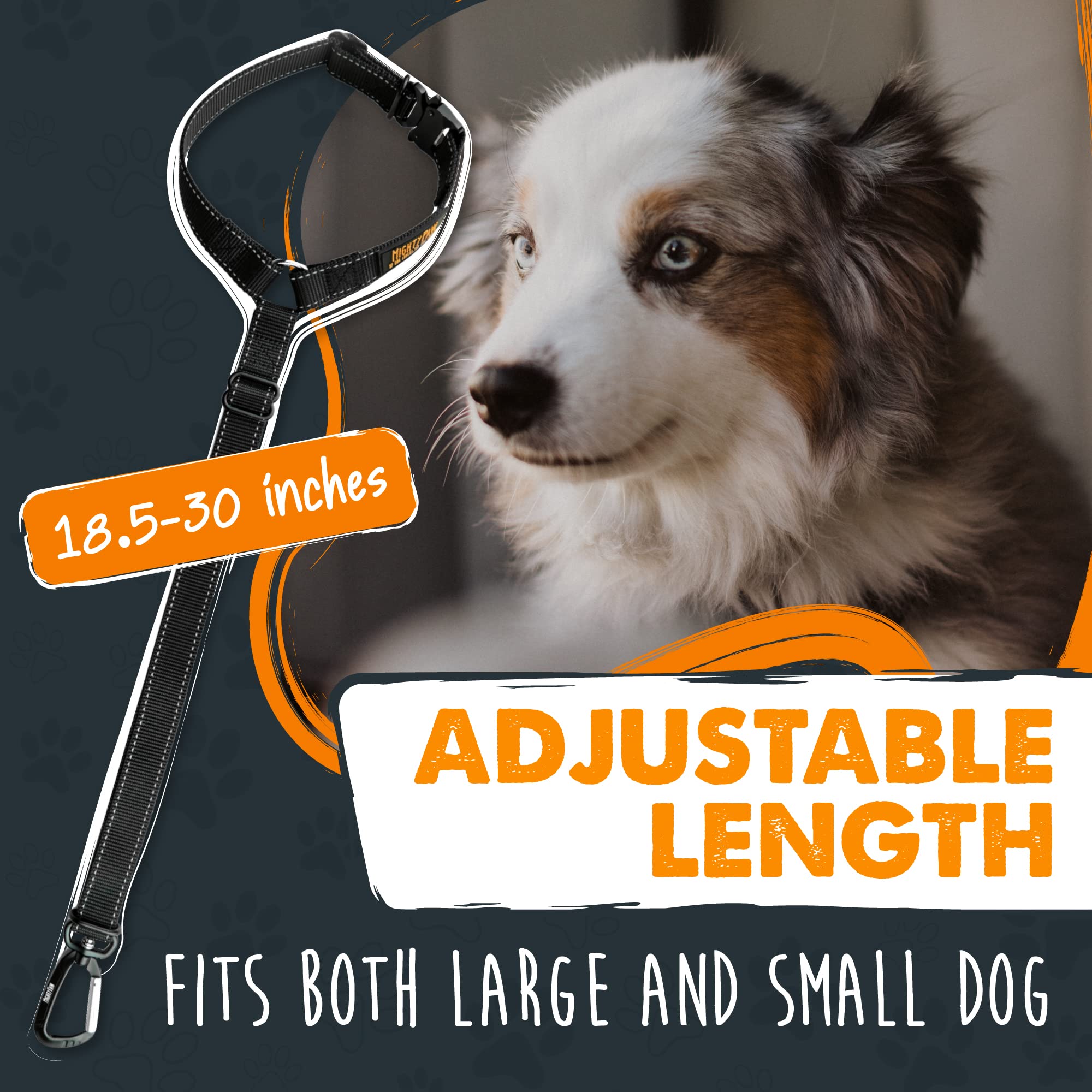 Mighty Paw safety-compliance pairing with an approved harness for added security