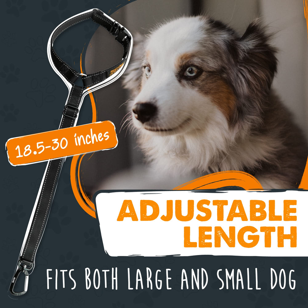 Mighty Paw safety-compliance pairing with an approved harness for added security