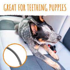 Mighty Paw seat belt latch-bar attachment secures the dog to the car frame.