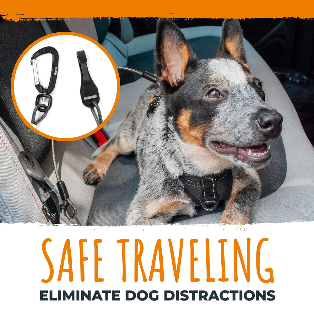 Mighty Paw seat belt swivel feature prevents tangling during rides.