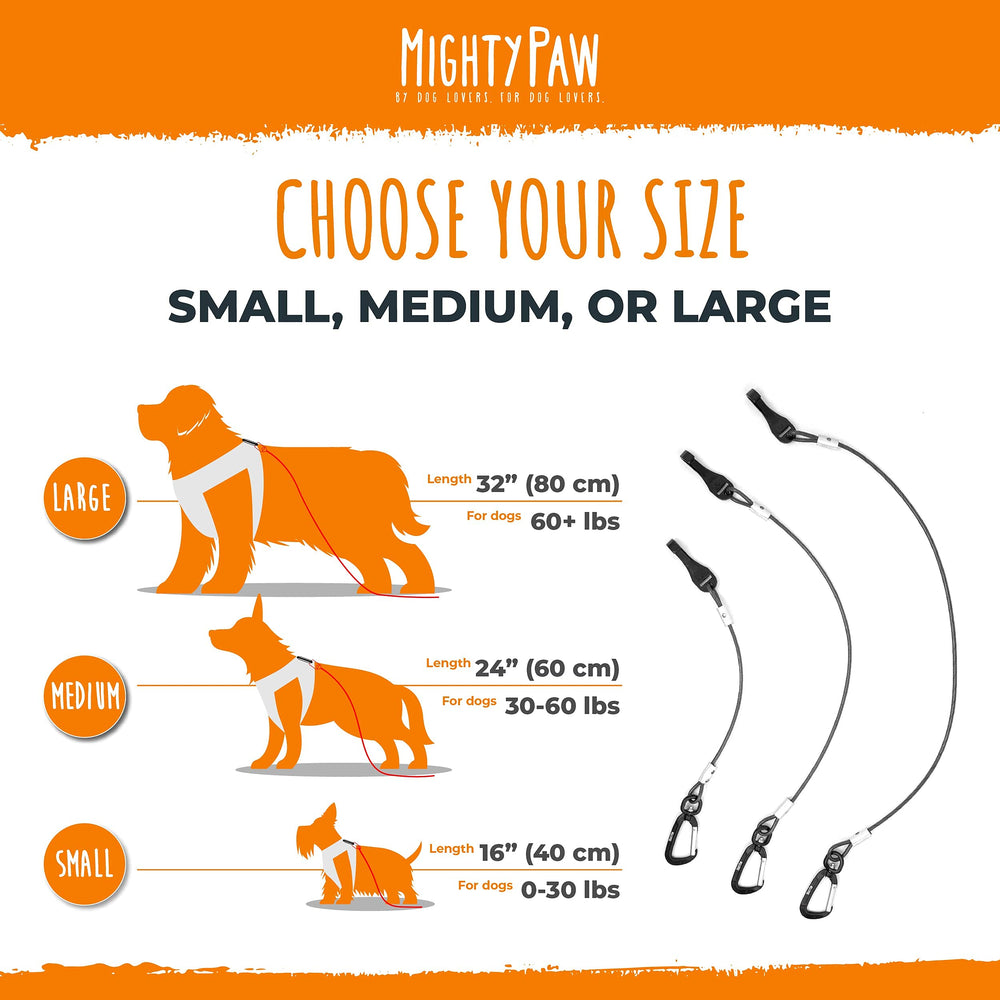 Mighty Paw seat belt teething puppies use shows safe travel option.