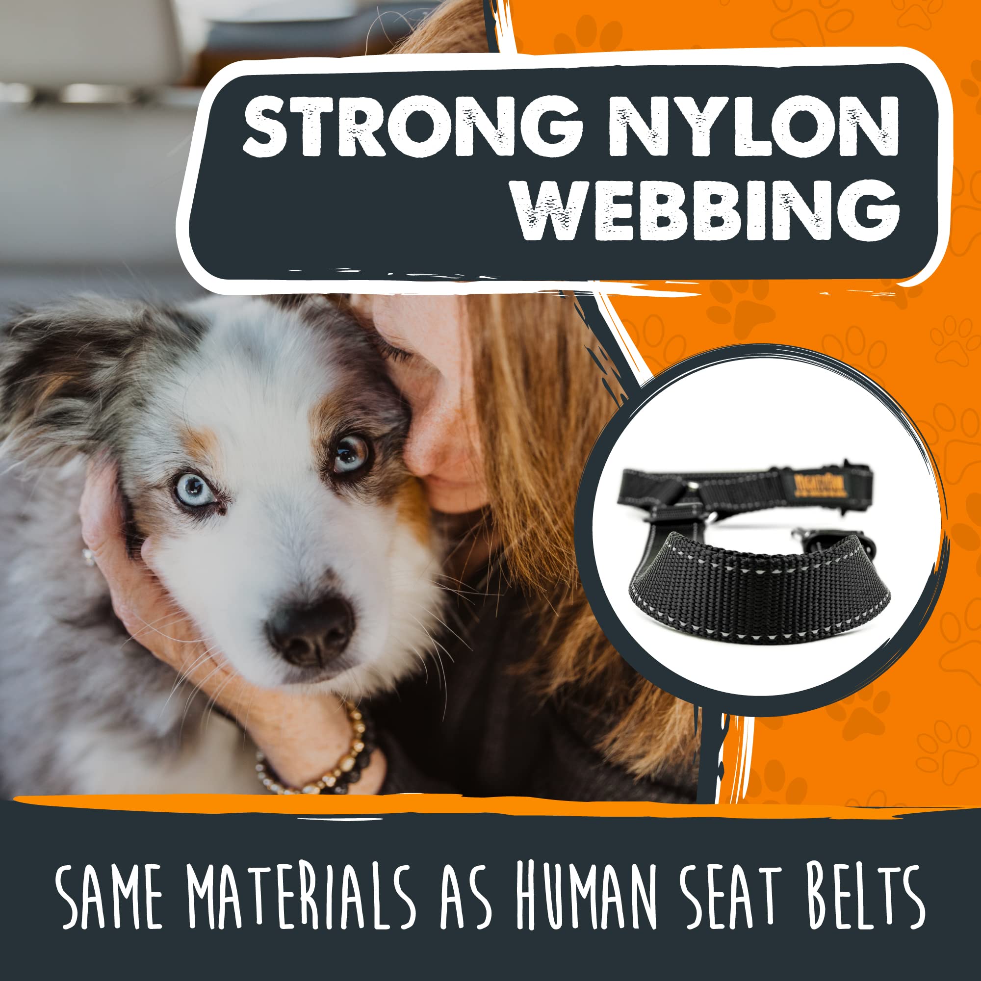 Mighty Paw secure buckle system anchors into most seatbelt outlets