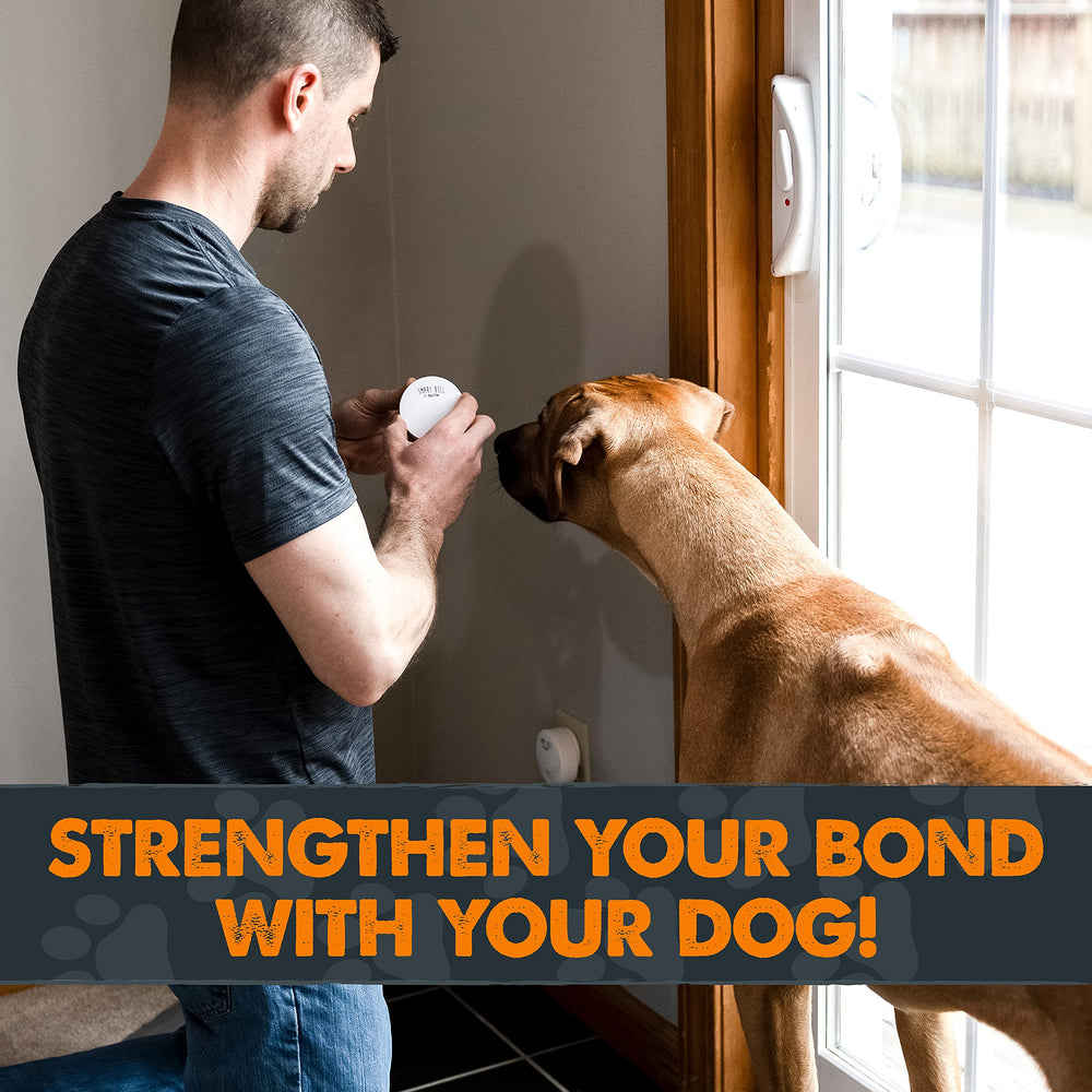 Mighty Paw Smart Bell 2.0 helps dogs of all sizes communicate needs.