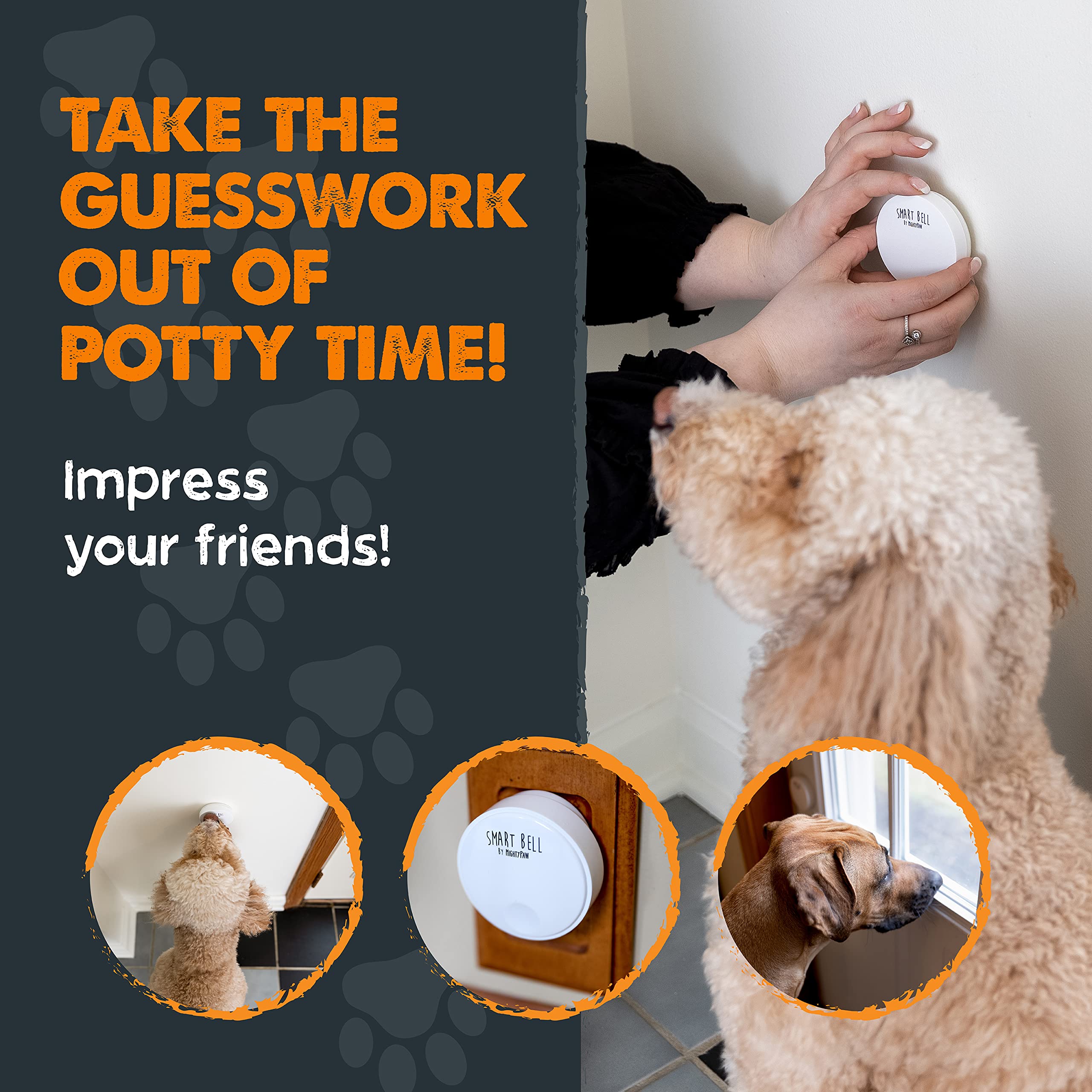 Mighty Paw Smart Bell indoor outdoor use in home setting.