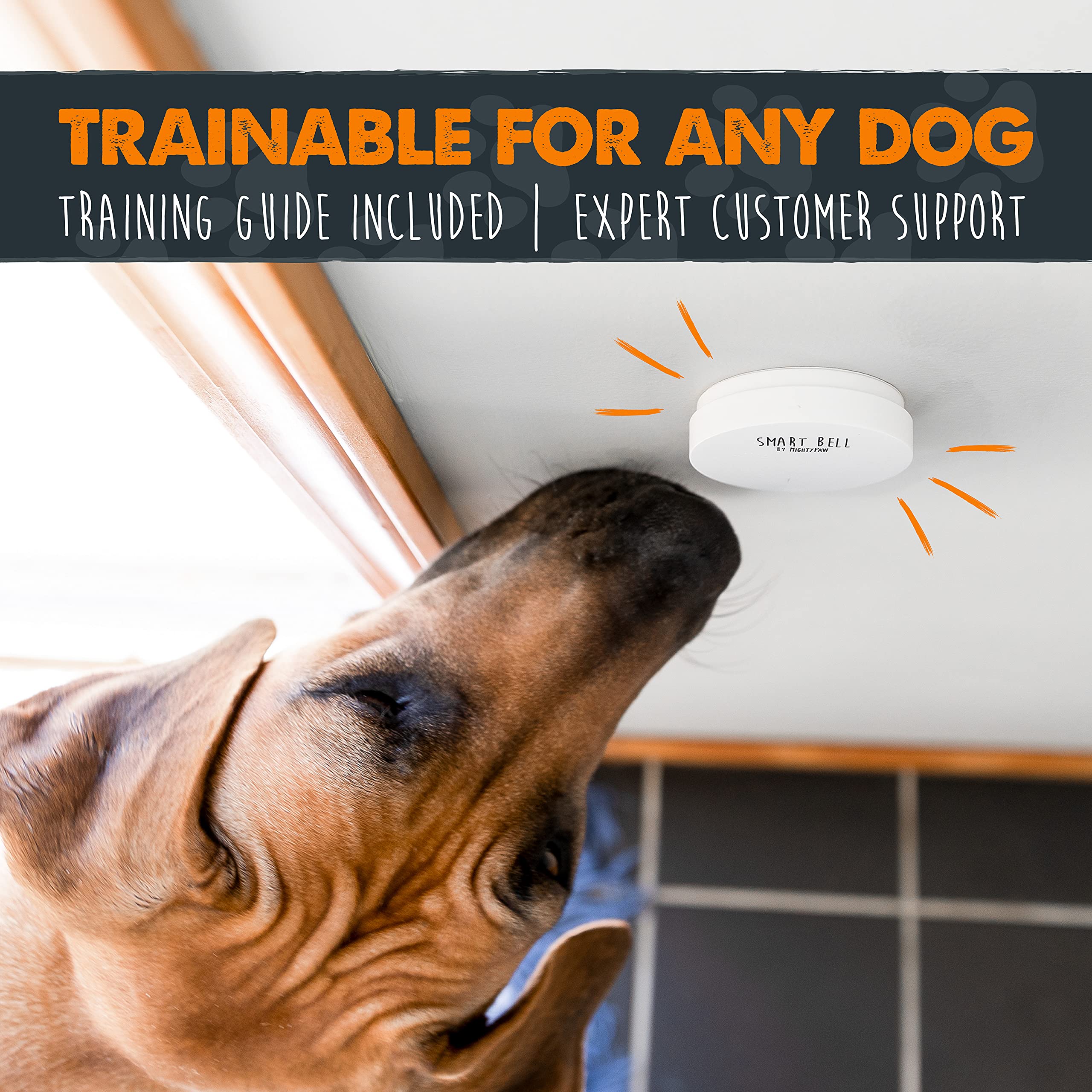 Mighty Paw Smart Bell wireless connectivity for flexible placement.