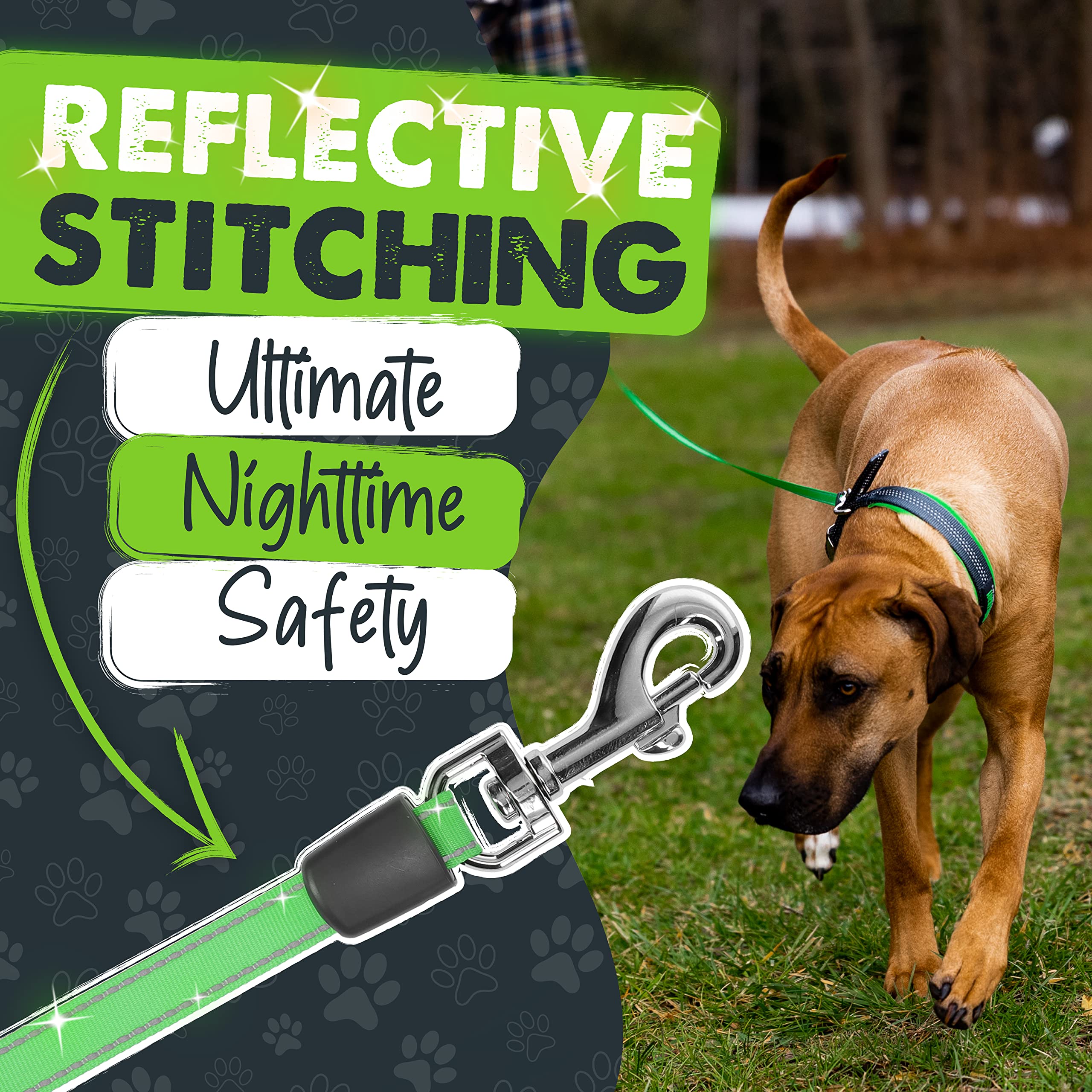 Mighty Paw stainless steel coil helps prevent leash jams.