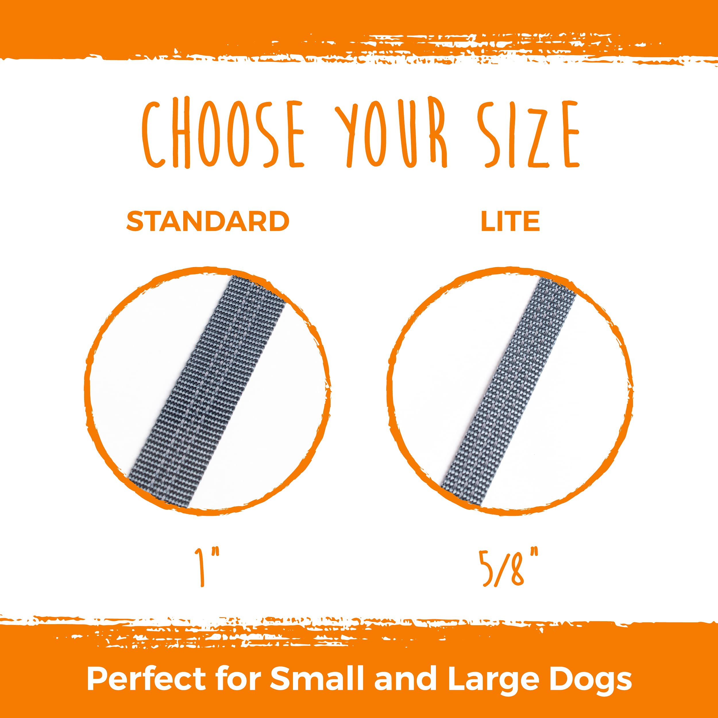 Mighty Paw tangle-free design keeps two dogs moving smoothly on walks.