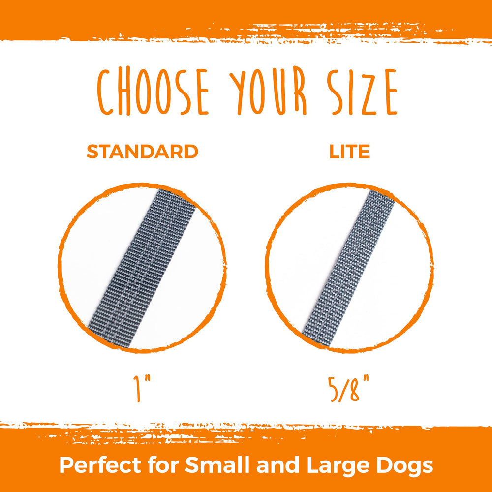 Mighty Paw tangle-free design keeps two dogs moving smoothly on walks.