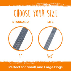 Mighty Paw tangle-free design keeps two dogs moving smoothly on walks.