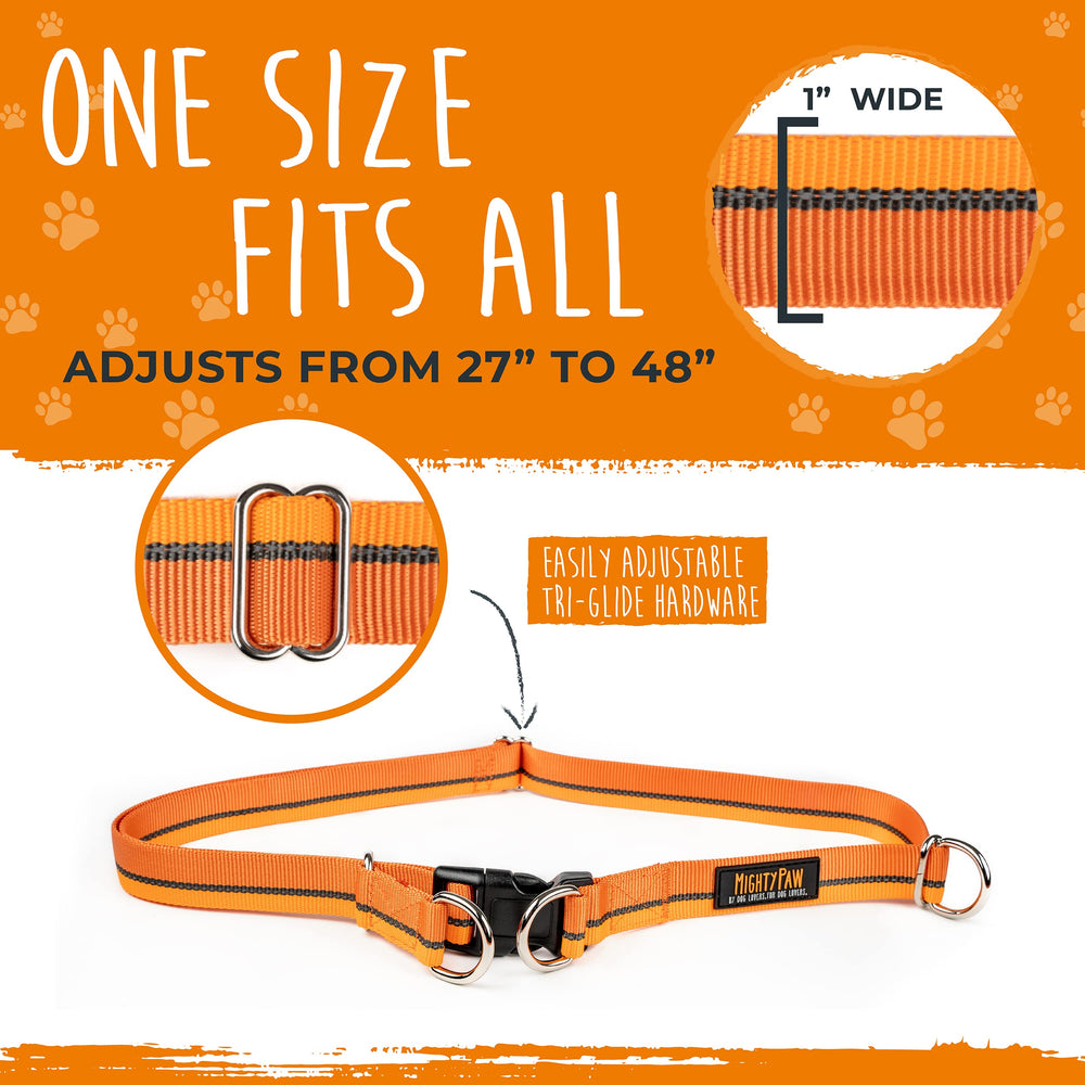 Mighty Paw 36-48 inch waist belt fits a wide range.
