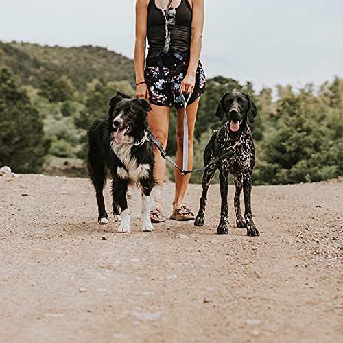 Mighty Paw USA-made family-owned brand supports durable dog gear.
