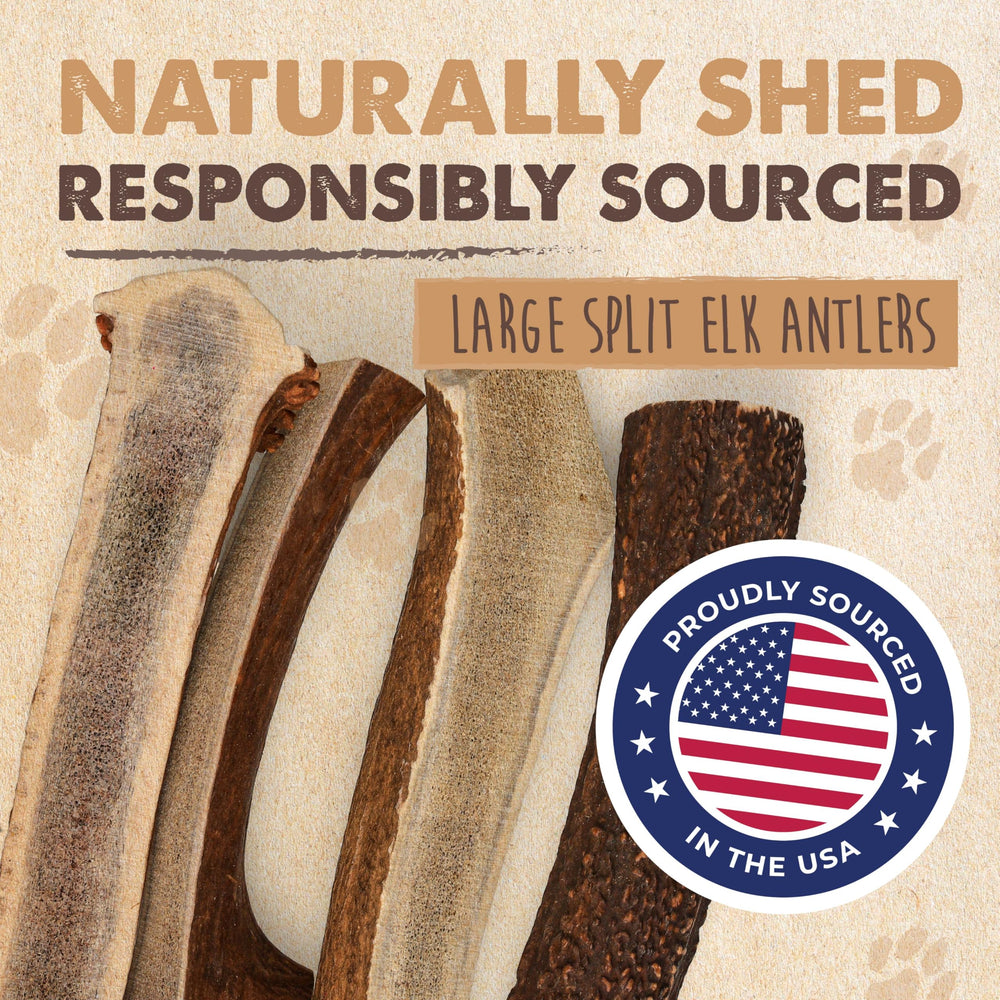 Mighty Paw USA-sourced elk antler chew, a natural option for dogs.