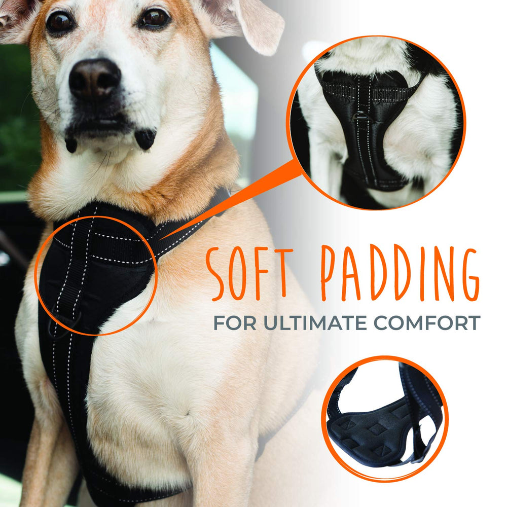 Mighty Paw vehicle harness with reflective stitching for better night visibility