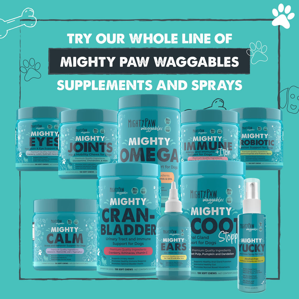 Active dogs may benefit from consistent daily chews