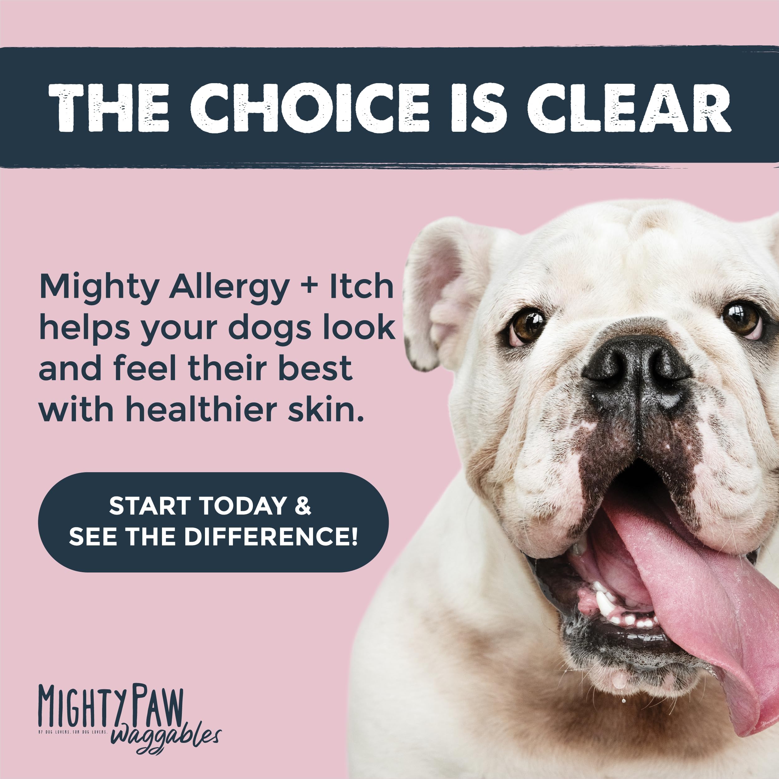 Happy dog after giving Mighty Paw Waggables chew during routine