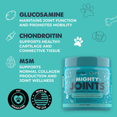 120-count container ready for daily joint support routine