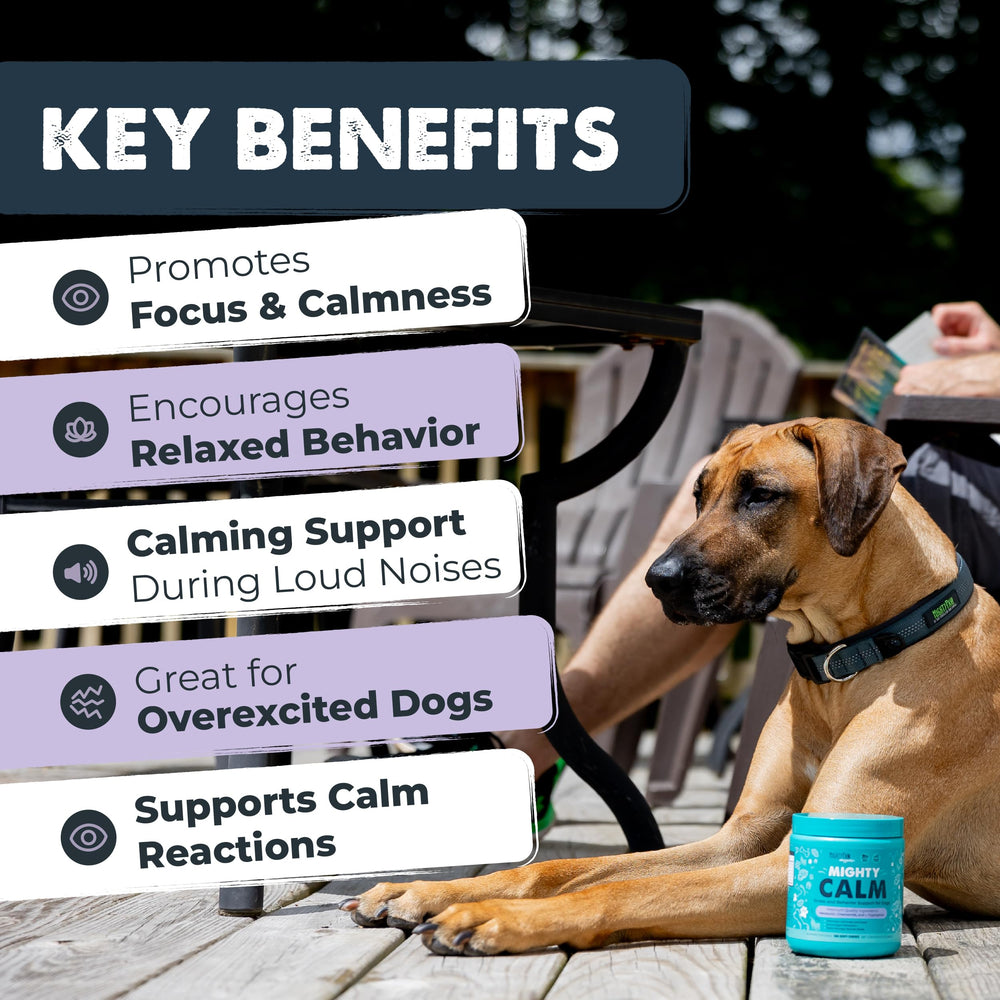 Mighty Paw Waggables calming chews tub features bacon flavor dogs love while relaxing.
