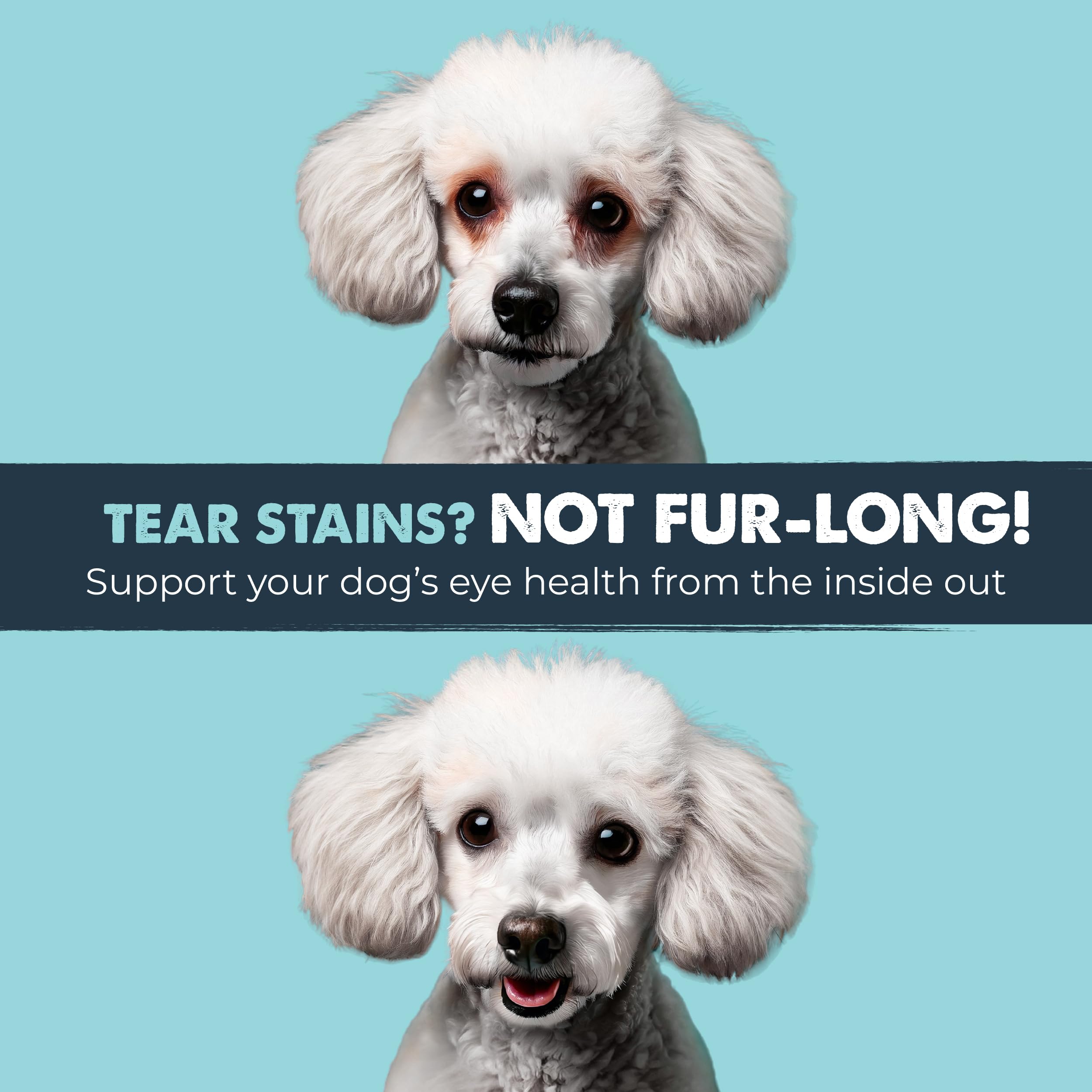 Mighty Paw Waggables Eyes bacon flavor chews designed for easy palatability.