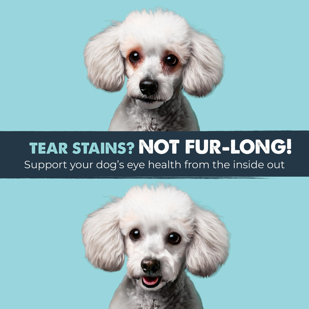 Mighty Paw Waggables Eyes bacon flavor chews designed for easy palatability.