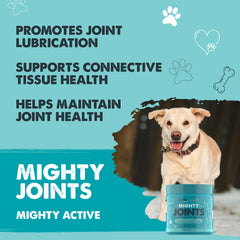 Close-up of glucosamine chondroitin MSM ingredients in chews