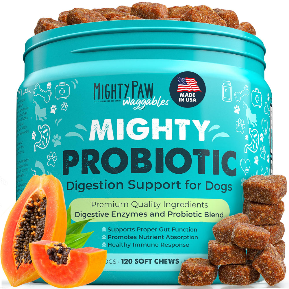 Mighty Paw Waggables probiotic chews bottle supports dog digestive health