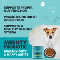Close-up of Waggables chews highlighting bacon flavor for dogs
