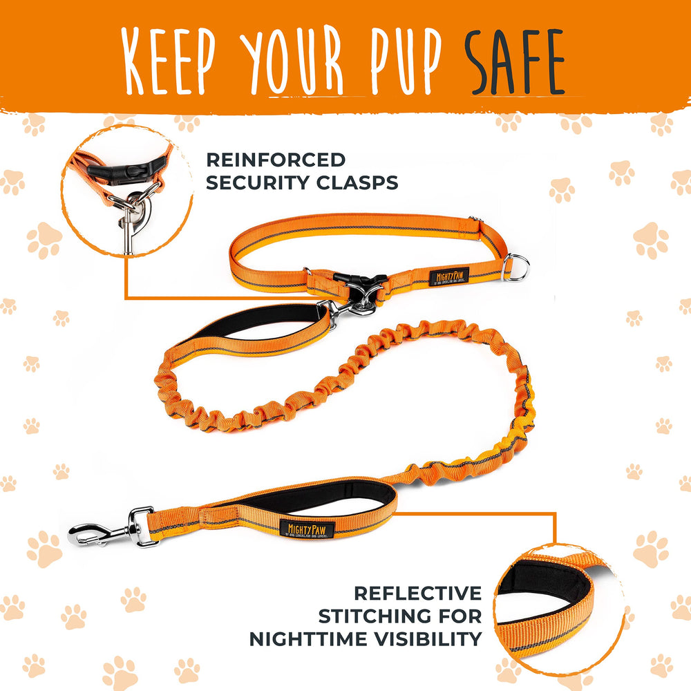 Orange Mighty Paw leash shows secure waist setup for daily walks.