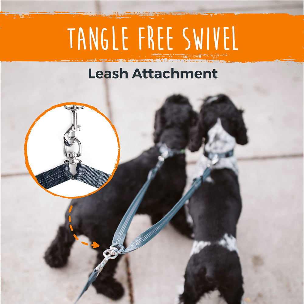 Mighty Paw waterproof webbing resists rain and mud during adventures.