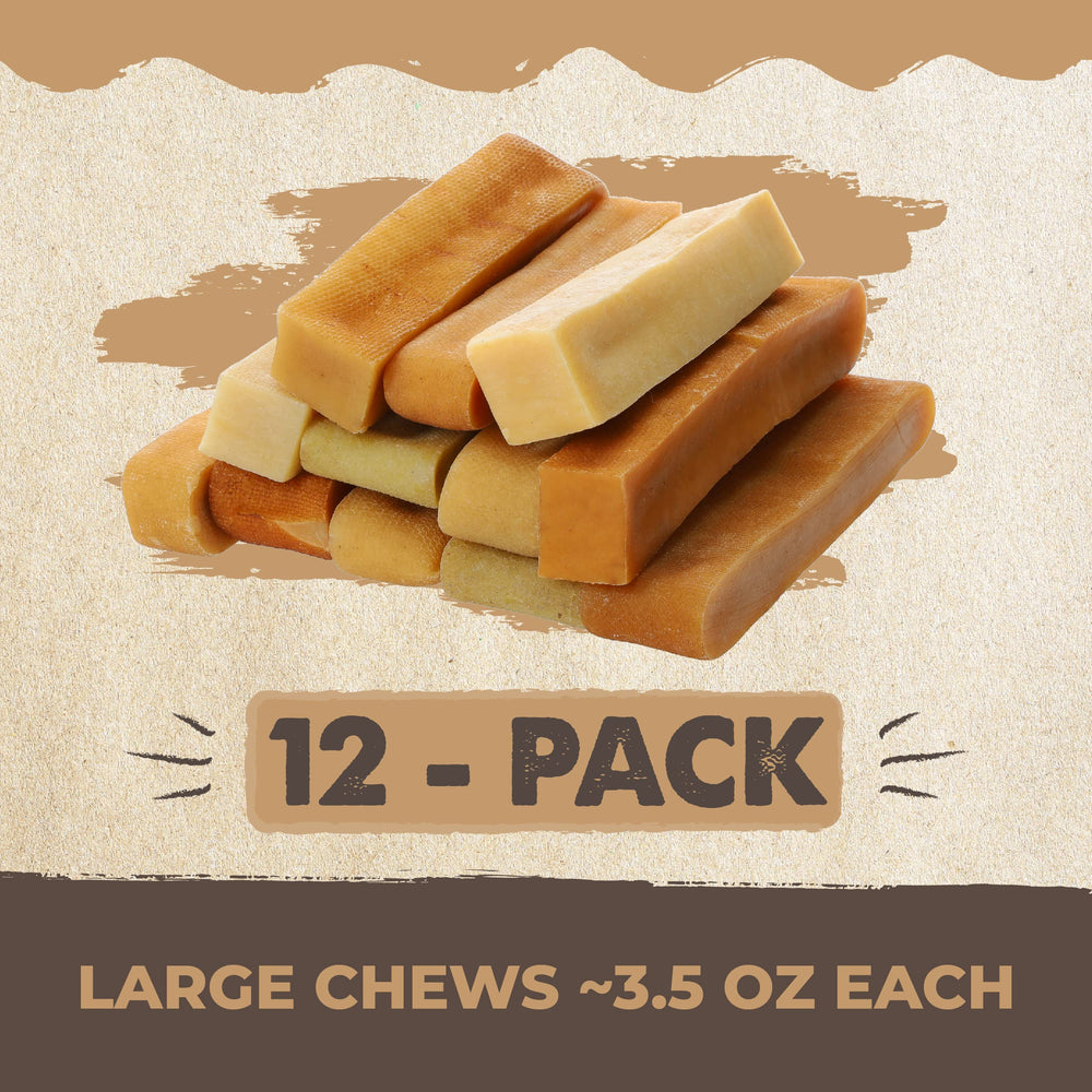 Dog teeth and gums supported by Mighty Paw Yak Cheese Chews.
