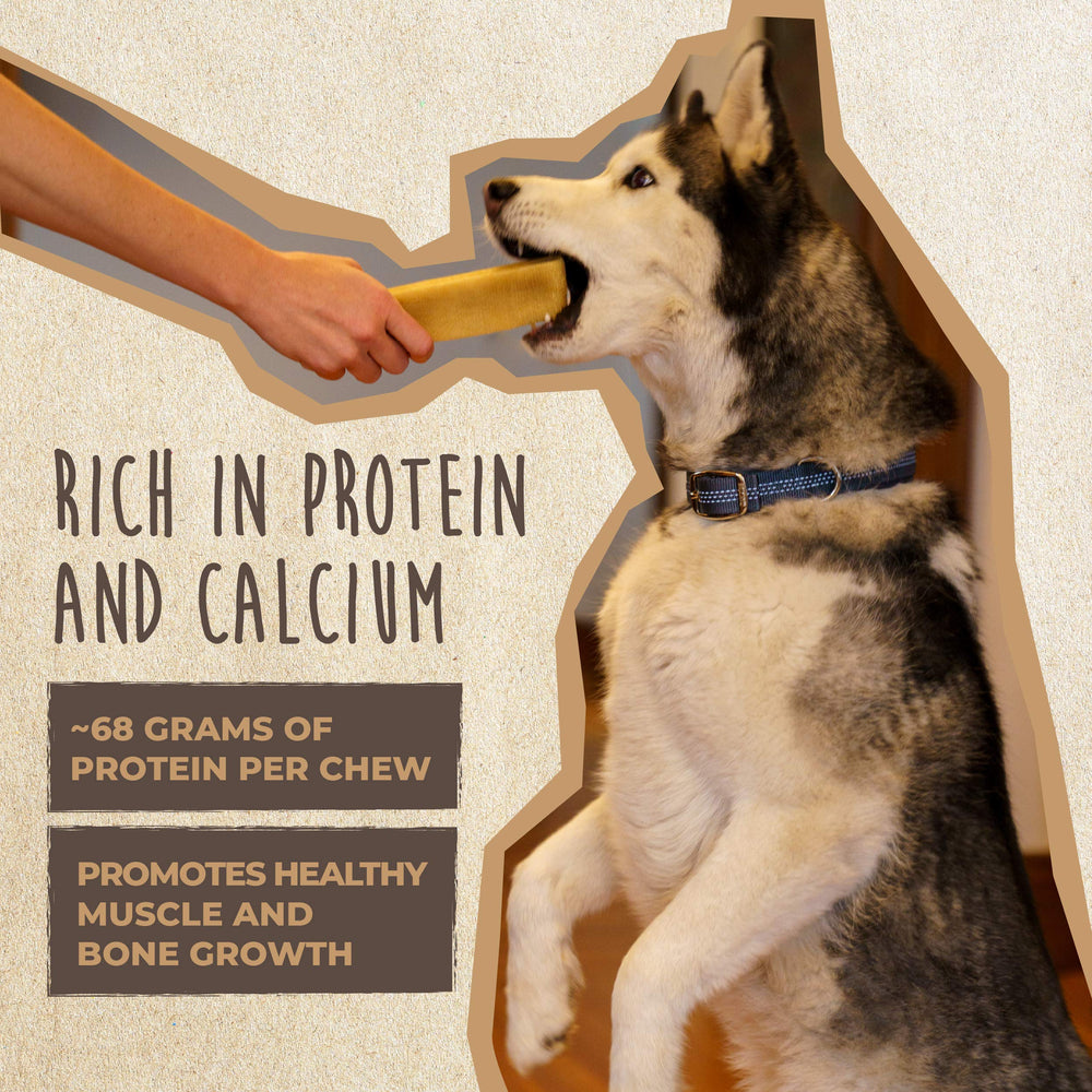 Mighty Paw Yak Cheese Chews suitable for puppies and power chewers
