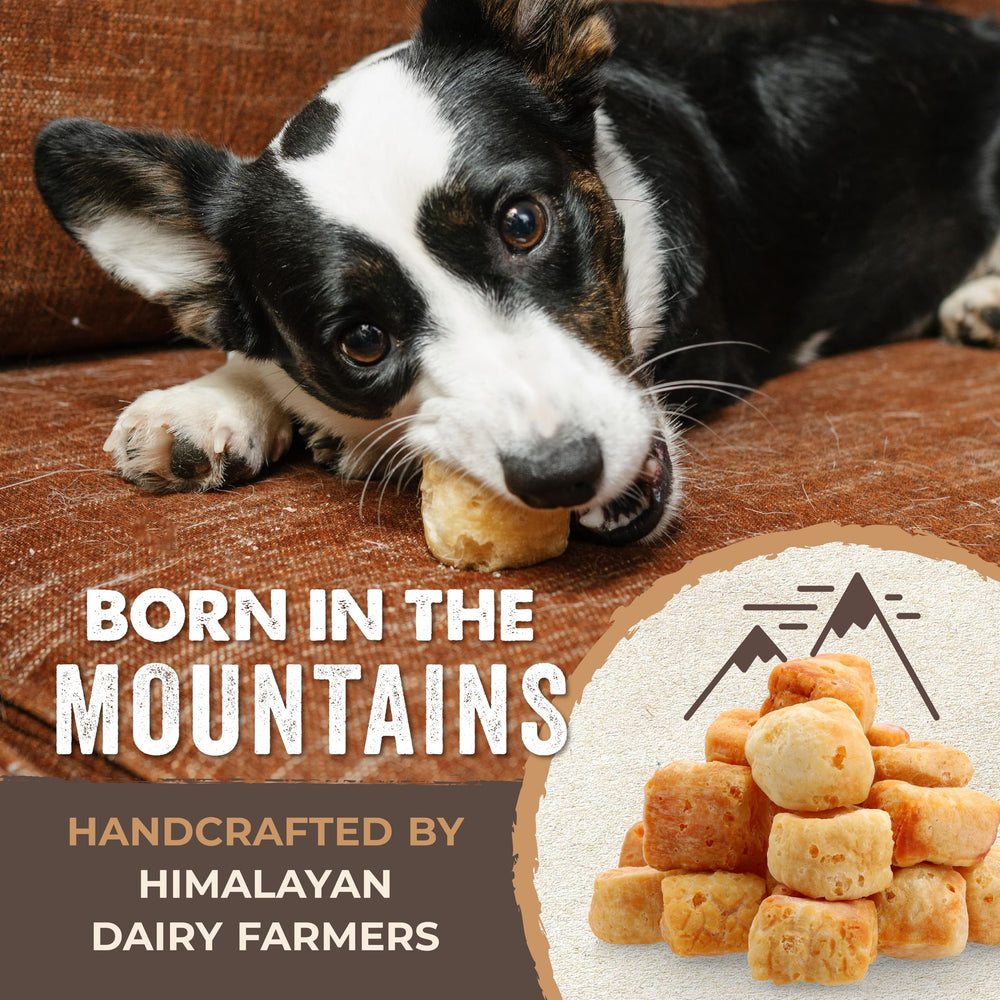 Mighty Paw Yak Cheese Puffs ingredients highlight three simple ingredients.