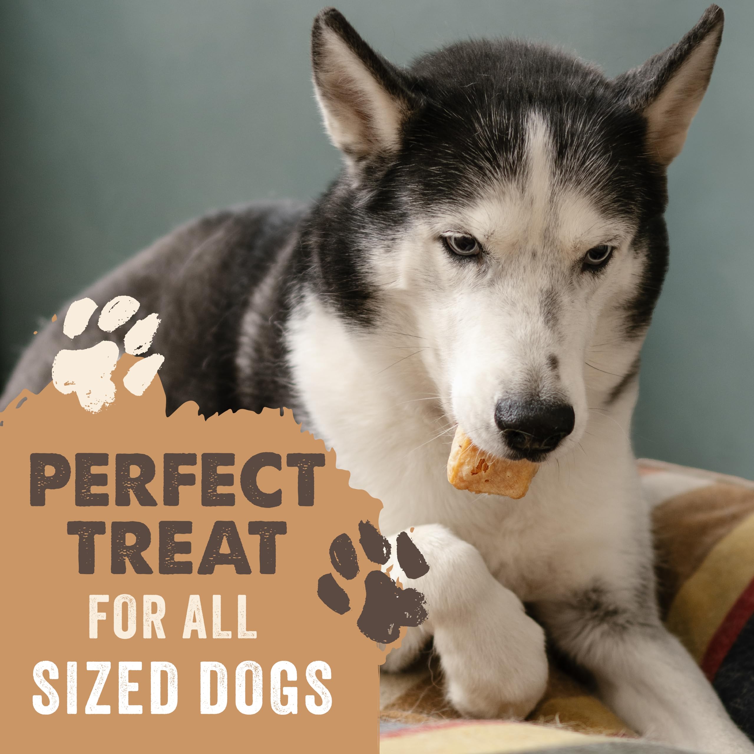 Mighty Paw Yak Cheese Puffs protein-calcium content supports daily activity.