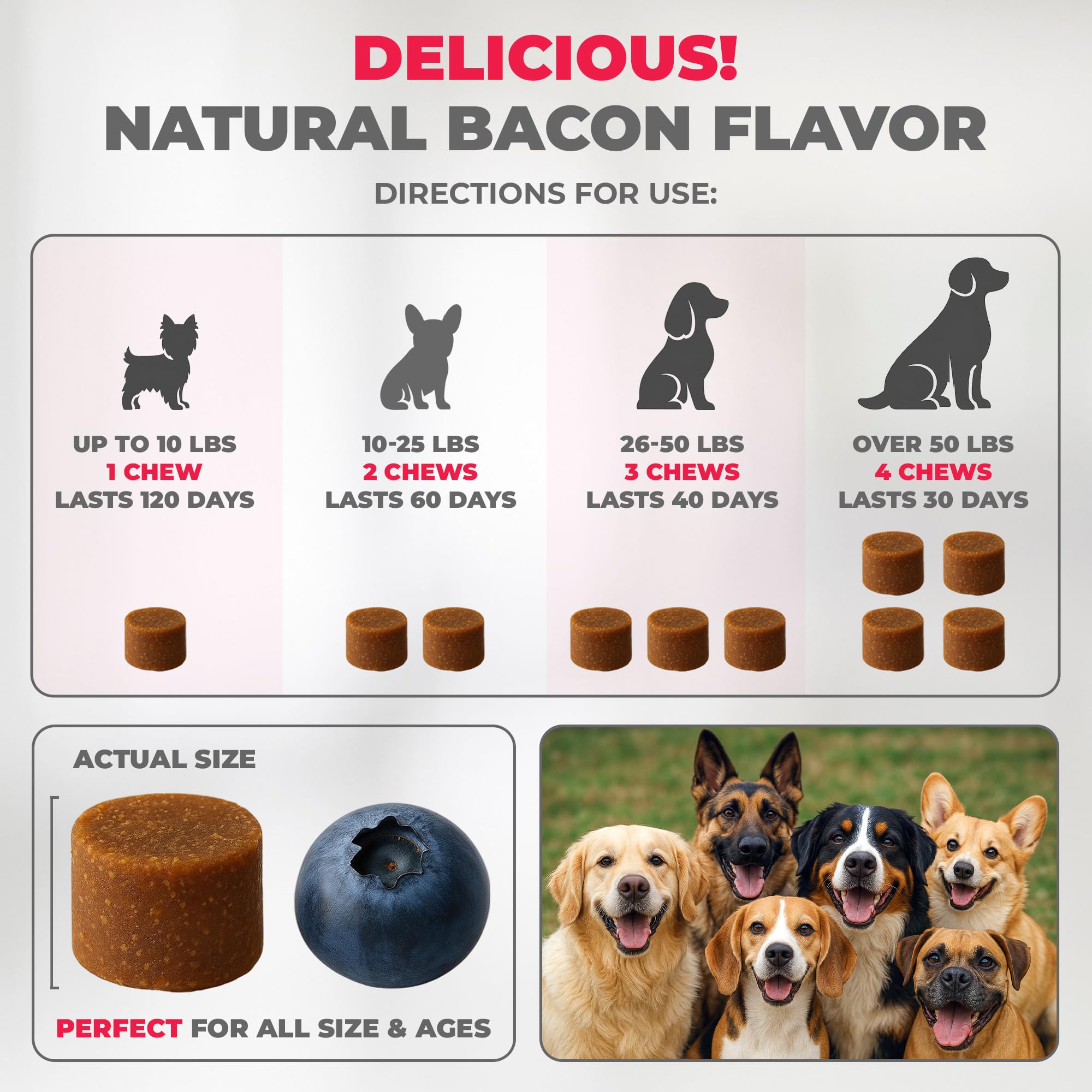 Mighty Petz MAX colostrum probiotics for immune and gut support
