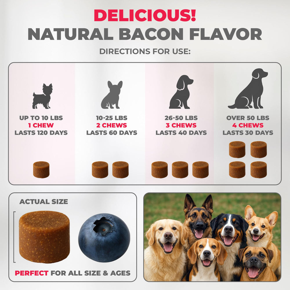 Mighty Petz MAX colostrum probiotics for immune and gut support