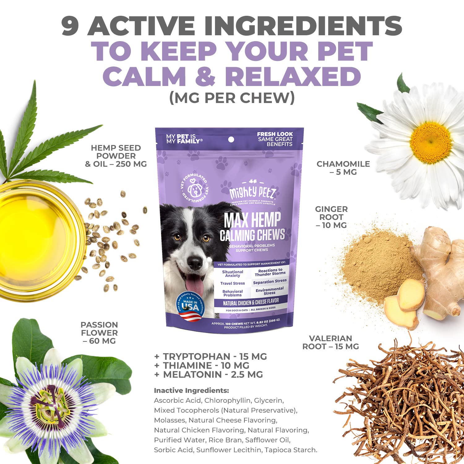 Dog enjoying Mighty Petz MAX Hemp Calming Chews for calm, gentle relief.