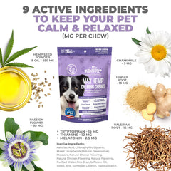 Dog enjoying Mighty Petz MAX Hemp Calming Chews for calm, gentle relief.