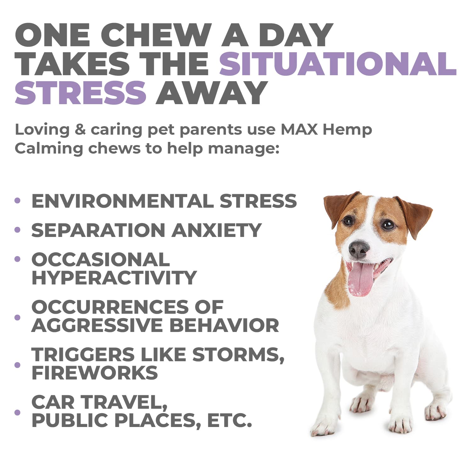 Ingredients list highlights hemp oil and melatonin in Mighty Petz chews.