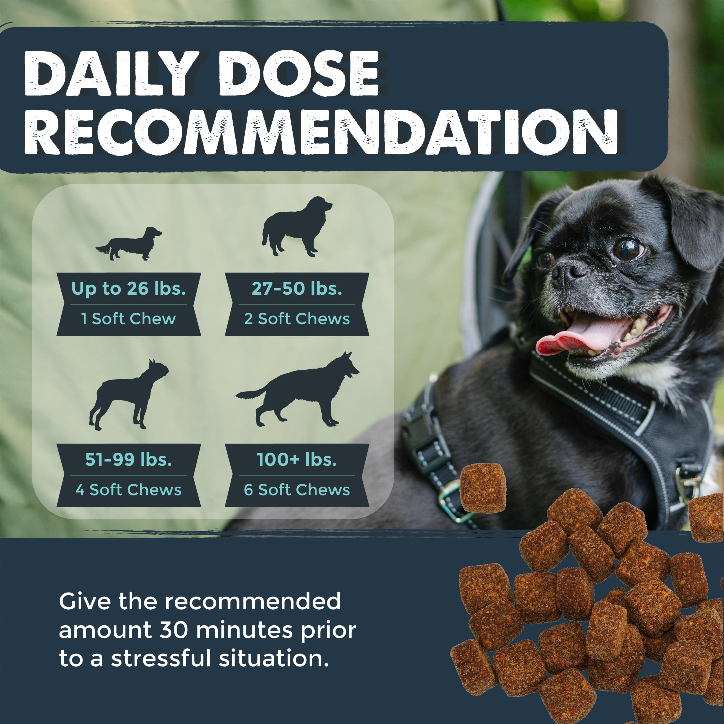 Dog relaxed after Mighty Paw Calming Chews USA-made
