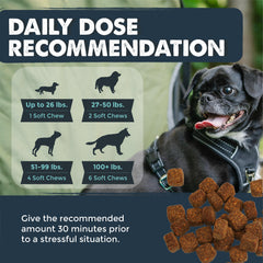 Dog relaxed after Mighty Paw Calming Chews USA-made