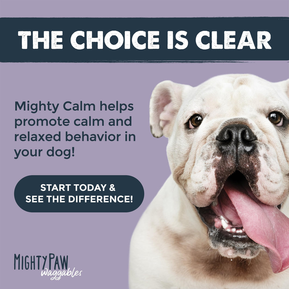 Packaging display of Mighty Paw Calming Chews for easy purchasing