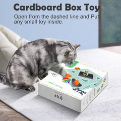 Migibox motion-sensor play activates automatically when cats approach.