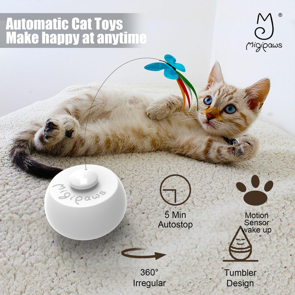 Migipaws interactive kitten toy encourages self-play sessions.