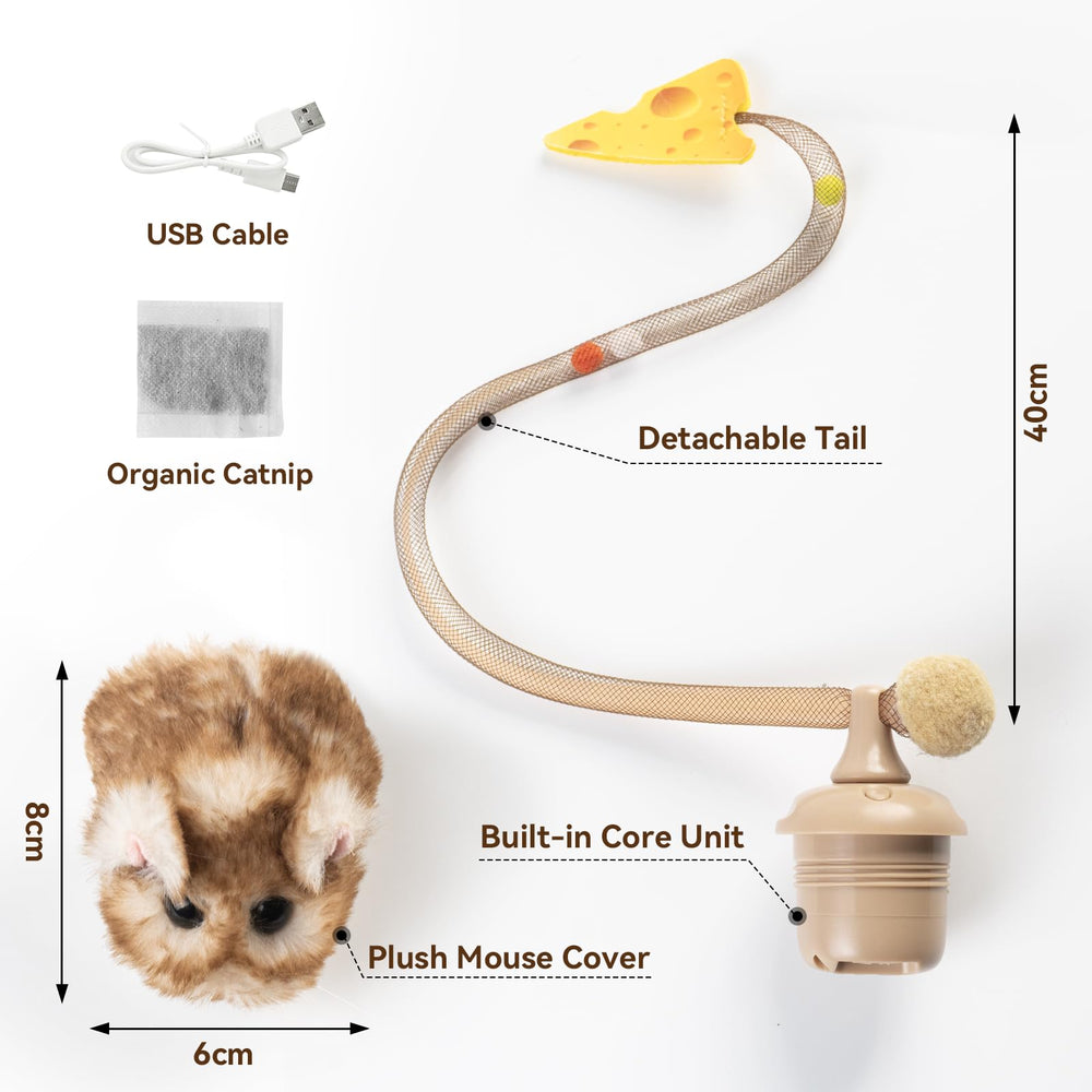 Migipaws MigiMouse indoor play boosts activity and stimulation.