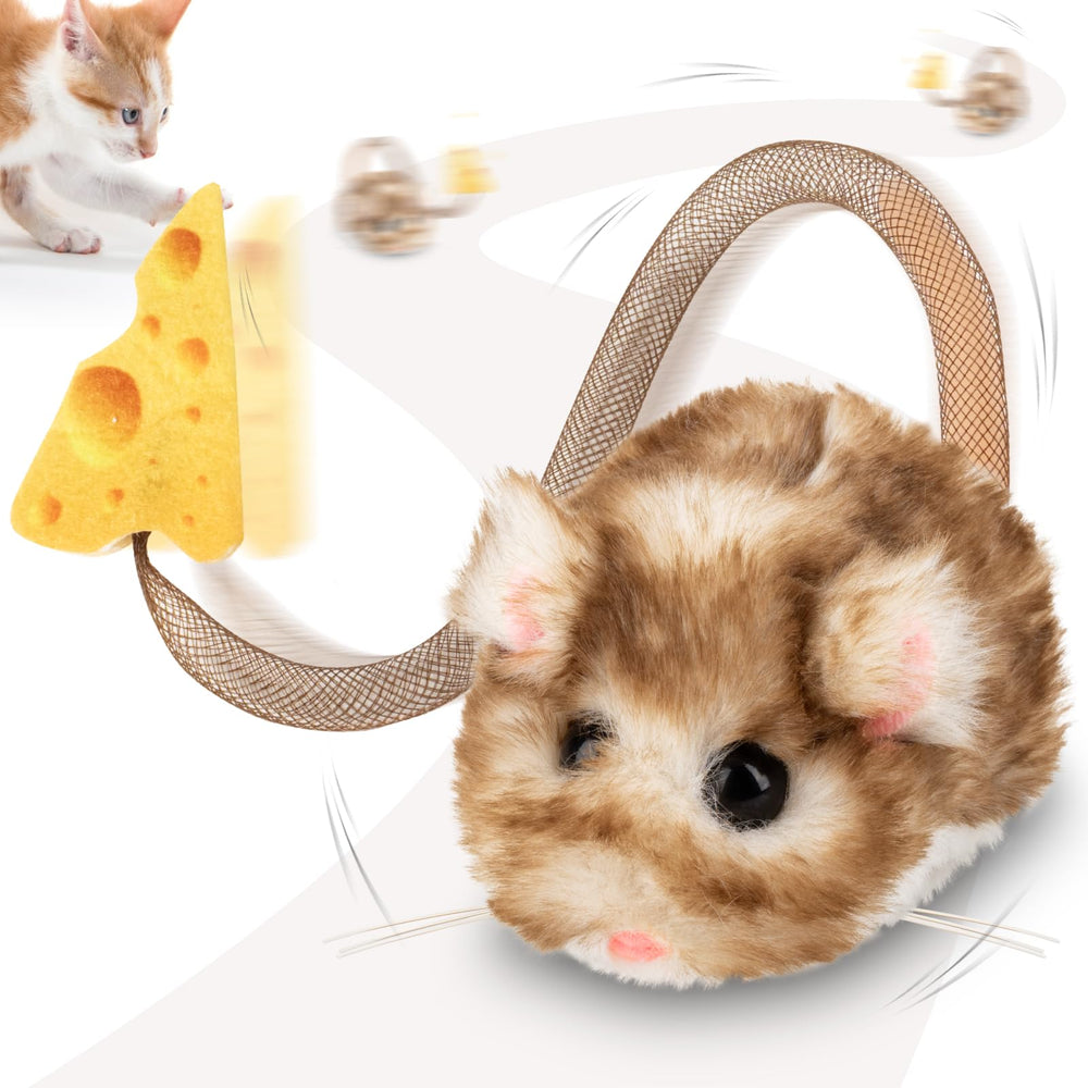 Migipaws MigiMouse spin action sparks chasing and daily exercise.