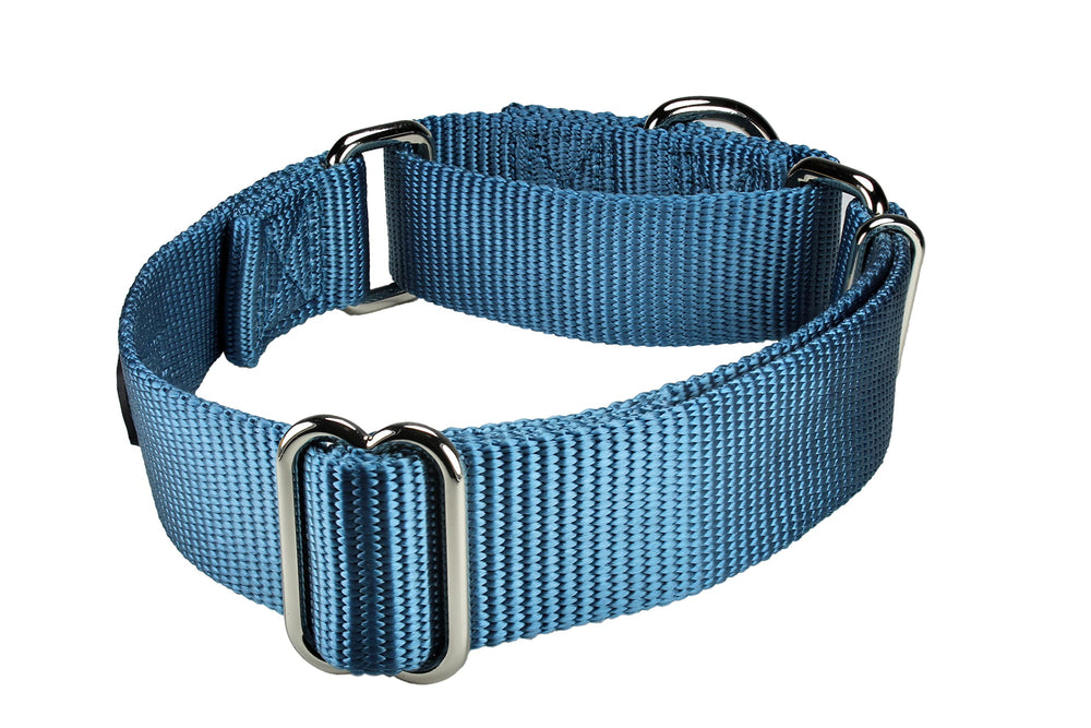 Mikivery no-buckle training collar in action for gentle guidance.