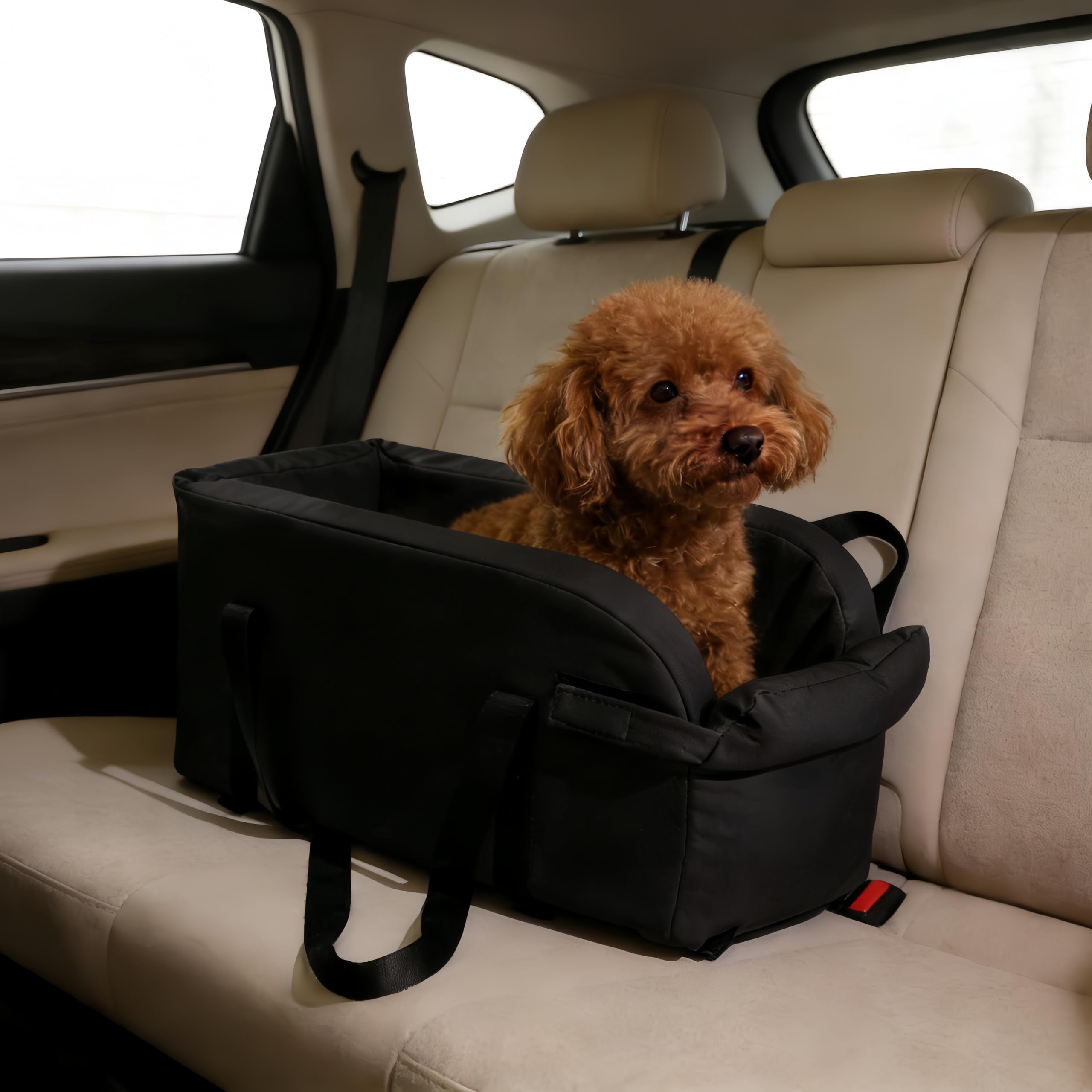 MikooMikoo 2-in-1 portable puppy carrier for easy transitions from car to walk.