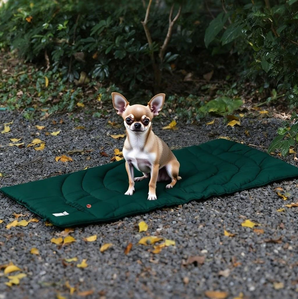 MikooMikoo Easy-Clean Surface simplifies post-adventure care.