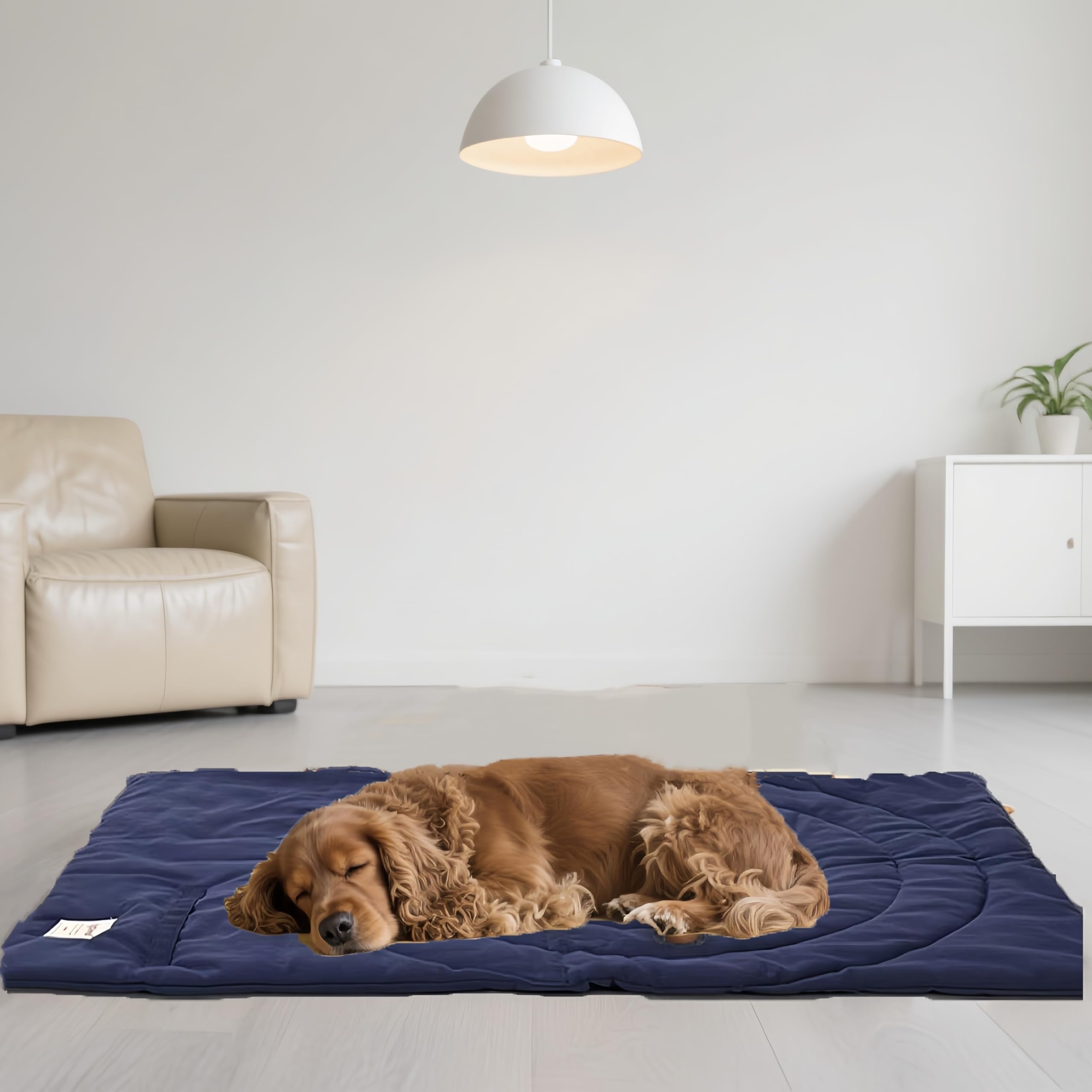 MikooMikoo Travel Dog Bed bullseye helps with training placement.